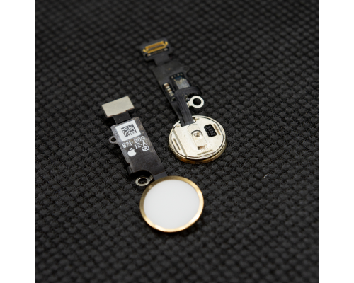 Шлейф з кнопкою Home iPhone 7 gold (Муляж) PLS-00-00015666