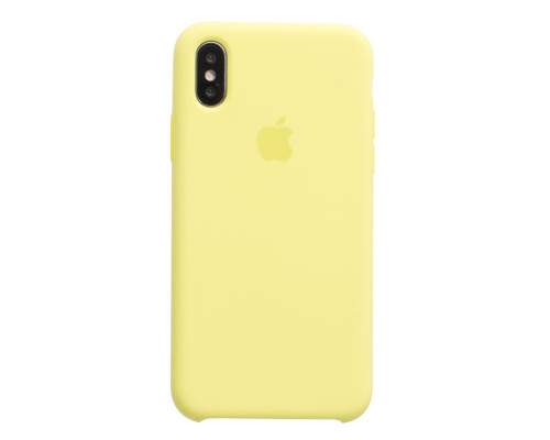 Чохол Original для iPhone Xs/X Колір Flash 2000000559483