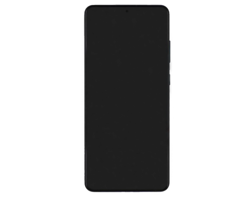 Дисплей Samsung G988 Galaxy S20 Ultra з сенсором та рамкою black (Original) PLS-00-00029007