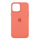 Чохол Original Silicone+MagSafe для iPhone 13 Pro Max Колір 4, Червоний