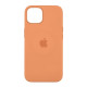 Чохол Silicone Case with MagSafe для iPhone 13 Колір 12.Eucaliptus