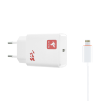 Зарядний пристрій FLYCDI FA-013 20W PD 3A USB-C з кабелем Lightning white PLS-00-00133886