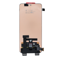 Дисплей OnePlus 10R з сенсором black (OLED SOFT) (FLYCDI) PLS-00-00147737