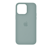 Чохол Silicone Case Full з MagSafe та Анімацією iPhone 14 succulent PLS-00-00121428