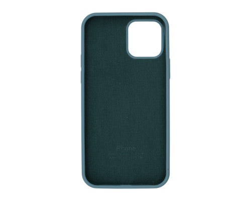 Чохол Silicone Case Full Protective iPhone 12 (12 Pro) cactus PLS-00-00071904