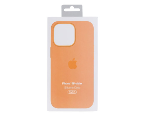 Чохол Original Silicone Case+MagSafe+SplashScreen для iPhone 13 Pro Max Колір 1, Clover