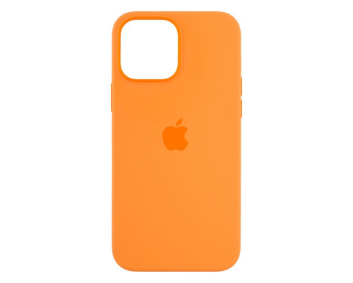 Чохол Original Silicone Case+MagSafe+SplashScreen для iPhone 13 Pro Max Колір 1, Clover