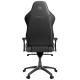 Крісло для геймерів Proove Gaming Arena black PLS-00-00139916