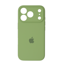 Чохол Silicone Case Full Camera Protective iPhone 17 Pro Max mint PLS-00-00156035