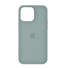 Чохол Silicone Case Full з MagSafe та Анімацією iPhone 14 Pro Max succulent PLS-00-00121432