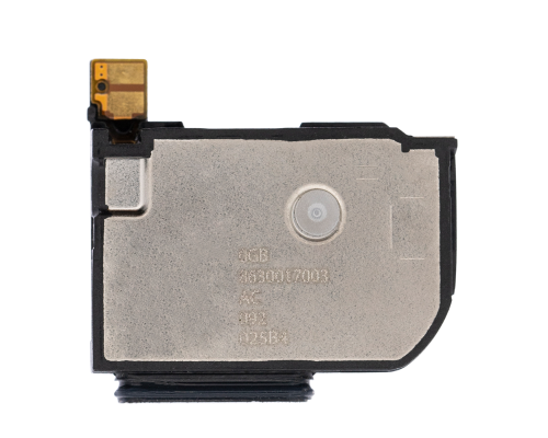 Поліфонічний динамік Google Pixel 5 з рамкою (Original) PLS-00-00108619