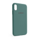 Чохол Full Silicone Case для Apple iPhone X, Xs pine green (55) TPS-2710000204497