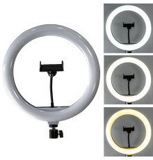 Кільцева лампа WALKER WLR-3010 (30см) + стійка на підлогу (2,1м) TPS-2710000212010
