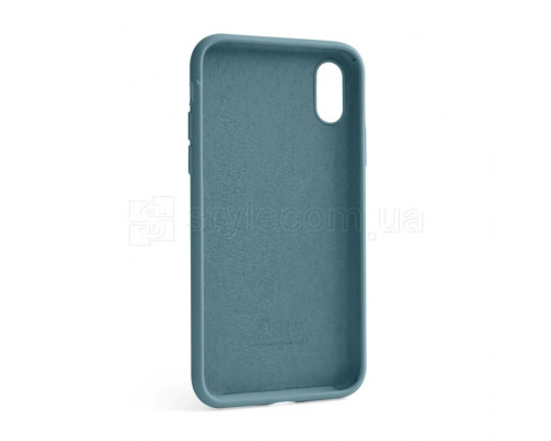 Чохол Full Silicone Case для Apple iPhone X, Xs cactus (60) TPS-2710000245810