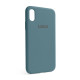 Чохол Full Silicone Case для Apple iPhone X, Xs cactus (60) TPS-2710000245810