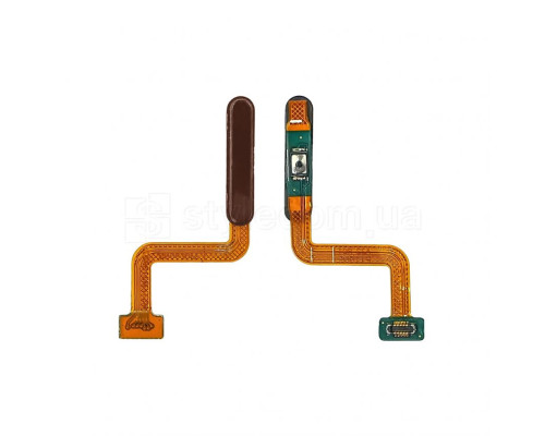 Шлейф для Samsung Galaxy M31s/M317 (2020) зі сканером відбитка пальця brown High Quality TPS-2710000285861 2710000285861