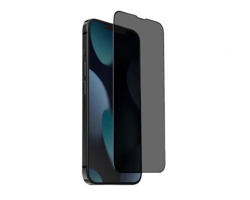 Захисне скло Privacy для Apple iPhone 12 Pro Max black (тех.пак.)