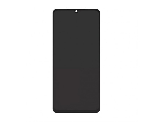 Дисплей (LCD) для Samsung Galaxy A06/A065/A065F/DS/A065M/DS (2024) з тачскріном black (PLS) Service Original (PN:GH82-21236A) TPS-2710000324157 2710000324157