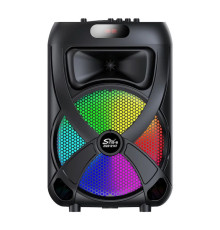 Портативна колонка ZQS12147 40W black TPS-2710000361213 2710000361213