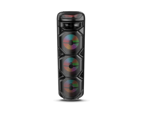 Портативна колонка ZQS8301 40W black TPS-2710000361206 2710000361206