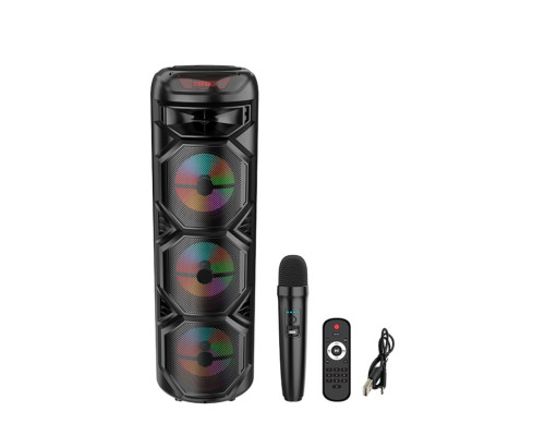 Портативна колонка ZQS8301 40W black TPS-2710000361206 2710000361206