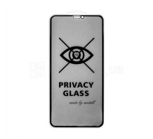 Захисне скло Privacy для Apple iPhone Xs Max, 11 Pro Max black