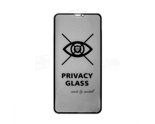 Захисне скло Privacy для Apple iPhone Xs Max, 11 Pro Max black TPS-2710000174875