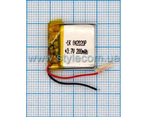 Акумулятор ChinaTab 042020p (4*20*20мм) 300mAh
