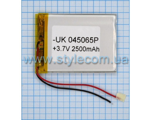 Акумулятор ChinaTab 045065p (4*50*65мм) 2500mAh TPS-2702015800009 2702015800009