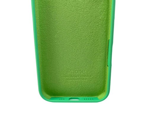 Чохол для смартфона Silicone Full Case AA Camera Protect for Apple iPhone 16 30,Spearmint (FullAAi16-30)