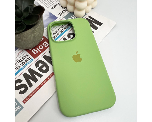 Чохол для смартфона Silicone Full Case AA Open Cam for Apple iPhone 16 Pro Max 1,Mint (FullOpenAAi16PM-1)