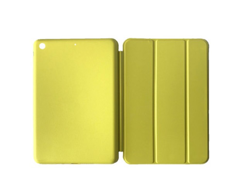 Чохол-папка Smart Case for Apple iPad 10,2 (2019) Flash mag-200000113166459087