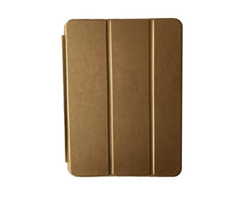 Чохол-папка Smart Case for Apple iPad Pro 11 (2018) Gold mag-2000001243244134408