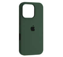 Чохол Silicone Case Full Copy for iPhone 16 Pro (58) pine green mag-2000001541982106061