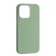 Чохол Flower Liquid Silicone Case MagSafe для iPhone 16 Pro Max Qingshan Jade mag-2000001650639145871
