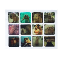 Набір наклейок 3D STICKERS Capybara 2 mag-2000001626009142119