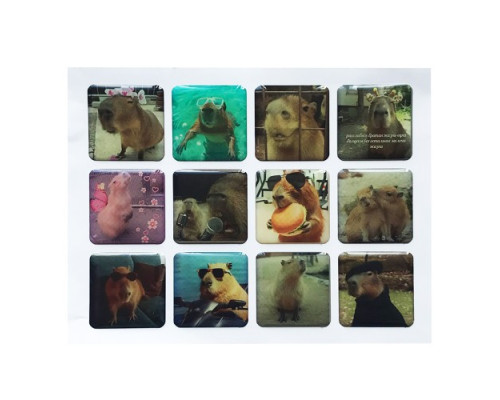 Набір наклейок 3D STICKERS Capybara 2 mag-2000001626009142119