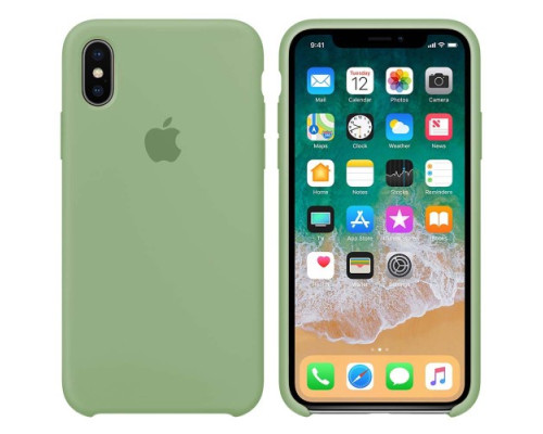 Чохол Silicone case for iPhone X/XS ( 1) green mag-200000089143912068