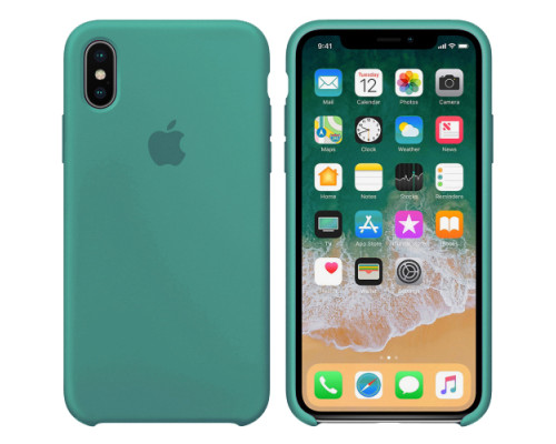 Чохол Silicone case for iPhone X/XS (61) cactus mag-200000100000741894