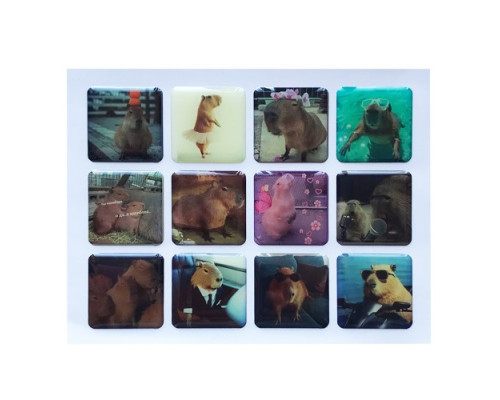 Набір наклейок 3D STICKERS Capybara 3 mag-2000001626016142120