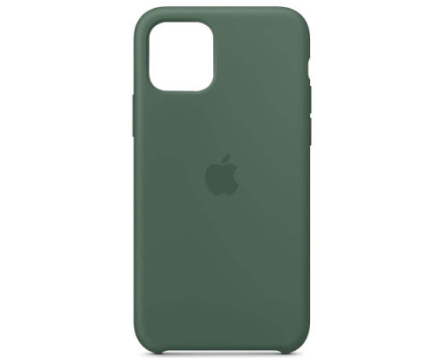 Чохол Silicone case for iPhone 11 (58) pine green mag-200000105743825722