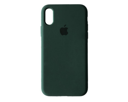 Чохол Silicone Case Full Copy for iPhone X/XS (64) cyprus green mag-2000001248171141871