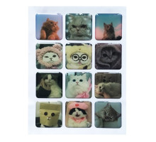 Набір наклейок 3D STICKERS Cat 1 mag-2000001626030142122