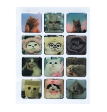 Набір наклейок 3D STICKERS Cat 1 mag-2000001626030142122