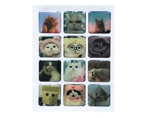 Набір наклейок 3D STICKERS Cat 1 mag-2000001626030142122
