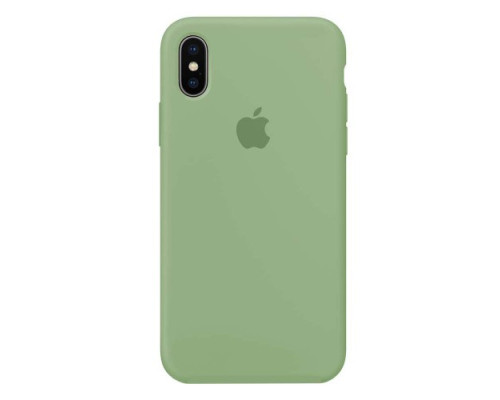 Чохол Silicone Case Full Copy for iPhone X/XS ( 1) green mag-20000011823073568