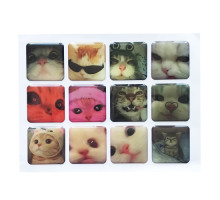 Набір наклейок 3D STICKERS Cat 2 mag-2000001626153142134