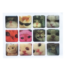 Набір наклейок 3D STICKERS Cat 2 mag-2000001626153142134