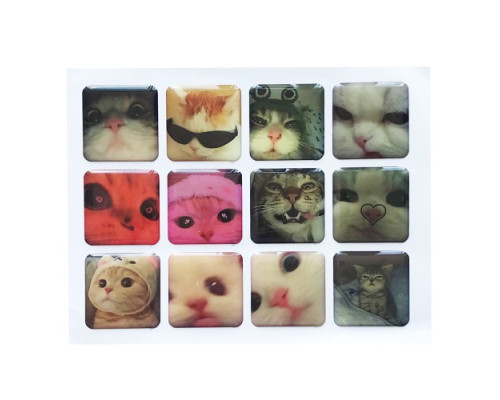 Набір наклейок 3D STICKERS Cat 2 mag-2000001626153142134