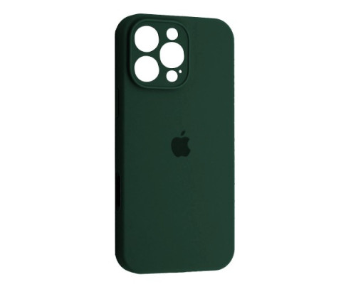 Чохол Silicone Case Full Camera Copy for iPhone 16 Pro (64) cyprus green mag-200000154713752021